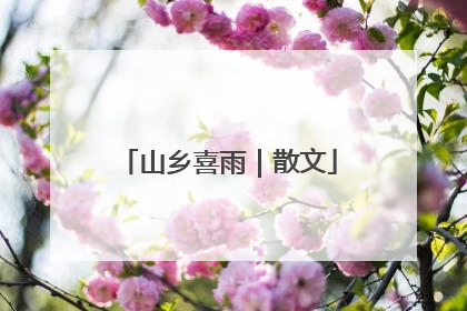 山乡喜雨｜散文