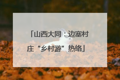山西大同：边塞村庄“乡村游”热络