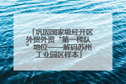 巩固国家级经开区外贸外资“第一梯队”地位——解码苏州工业园区样本