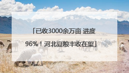 已收3000余万亩 进度96%！河北夏粮丰收在望