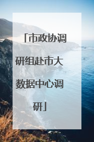 市政协调研组赴市大数据中心调研