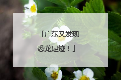 广东又发现恐龙足迹！