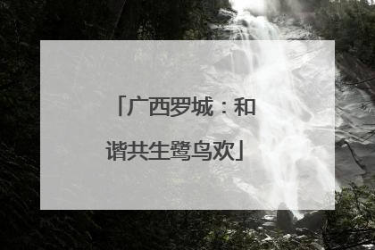 广西罗城：和谐共生鹭鸟欢