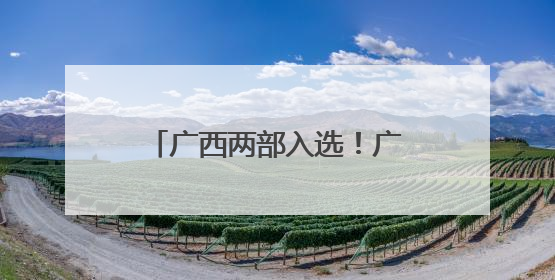 广西两部入选！广电总局优秀网络视听作品最新公布