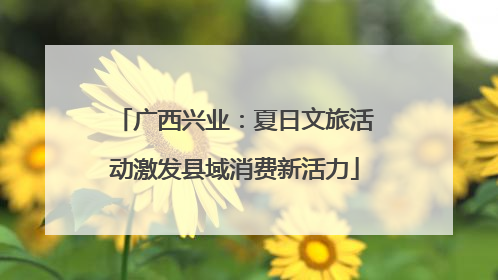 广西兴业：夏日文旅活动激发县域消费新活力