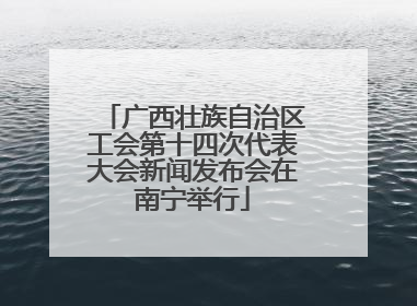 广西壮族自治区工会第十四次代表大会新闻发布会在南宁举行