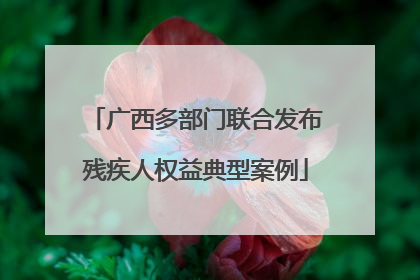 广西多部门联合发布残疾人权益典型案例