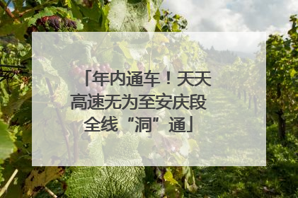 年内通车！天天高速无为至安庆段全线“洞”通