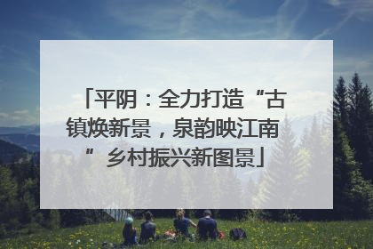 平阴：全力打造“古镇焕新景，泉韵映江南”乡村振兴新图景