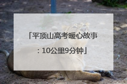 平顶山高考暖心故事：10公里9分钟