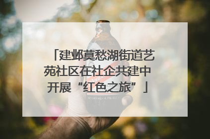 建邺莫愁湖街道艺苑社区在社企共建中开展“红色之旅”