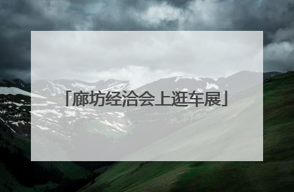 廊坊经洽会上逛车展