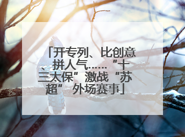 开专列、比创意、拼人气……“十三太保”激战“苏超” 外场赛事