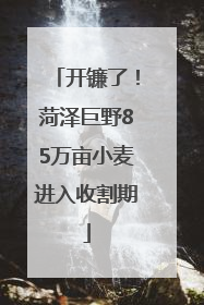 开镰了！菏泽巨野85万亩小麦进入收割期