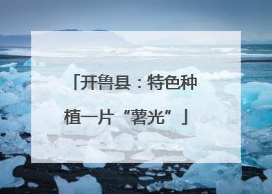 开鲁县：特色种植一片“薯光”
