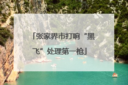 张家界市打响“黑飞”处理第一枪