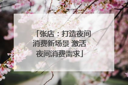 张店：打造夜间消费新场景 激活夜间消费需求