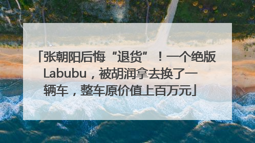 张朝阳后悔“退货”！一个绝版Labubu，被胡润拿去换了一辆车，整车原价值上百万元