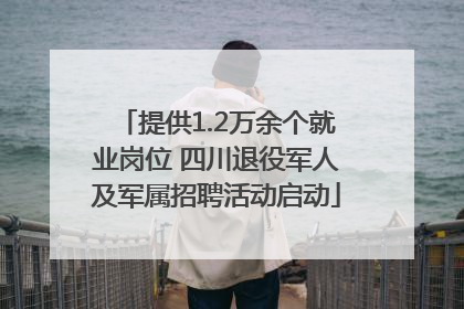 提供1.2万余个就业岗位 四川退役军人及军属招聘活动启动