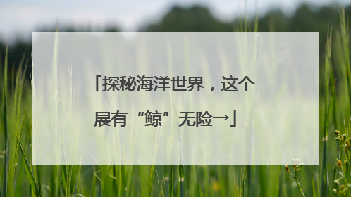 探秘海洋世界，这个展有“鲸”无险→
