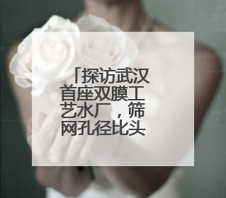 探访武汉首座双膜工艺水厂，筛网孔径比头发丝还细