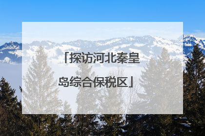 探访河北秦皇岛综合保税区