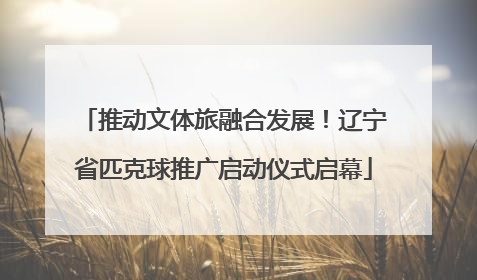 推动文体旅融合发展！辽宁省匹克球推广启动仪式启幕