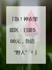 急！神农架景区：日薪500元，急招“野人”！