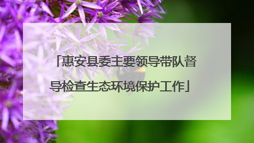 惠安县委主要领导带队督导检查生态环境保护工作