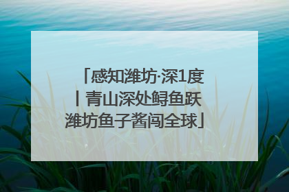 感知潍坊·深1度丨青山深处鲟鱼跃 潍坊鱼子酱闯全球