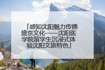 感知沈阳魅力传播盛京文化——沈阳医学院留学生沉浸式体验沈阳文旅特色