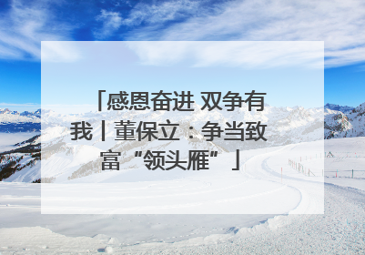 感恩奋进 双争有我丨董保立：争当致富“领头雁”