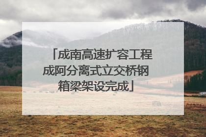 成南高速扩容工程成阿分离式立交桥钢箱梁架设完成