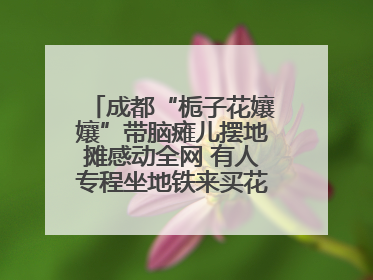 成都“栀子花孃孃”带脑瘫儿摆地摊感动全网 有人专程坐地铁来买花！丨封面头条
