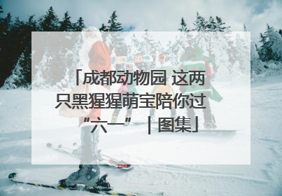 成都动物园 这两只黑猩猩萌宝陪你过“六一”｜图集