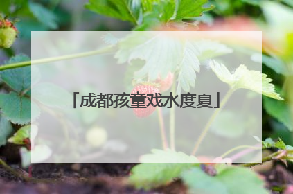 成都孩童戏水度夏