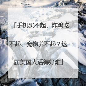 手机买不起、炸鸡吃不起、宠物养不起？这届美国人活得好难