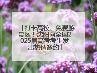 打卡高校、免费游景区！沈阳向全国2025届高考考生发出热情邀约