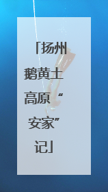 扬州鹅黄土高原“安家”记