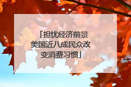 担忧经济前景 美国近八成民众改变消费习惯