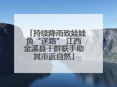 持续降雨致娃娃鱼“迷路” 江西金溪县干群联手助其重返自然