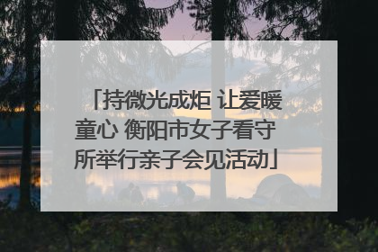 持微光成炬 让爱暖童心 衡阳市女子看守所举行亲子会见活动