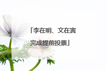 李在明、文在寅完成提前投票