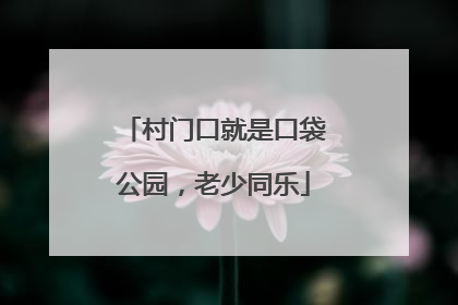 村门口就是口袋公园，老少同乐