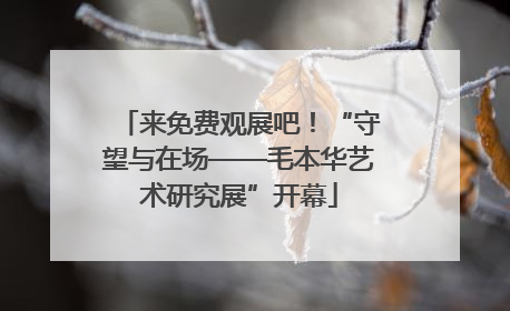 来免费观展吧！“守望与在场——毛本华艺术研究展”开幕