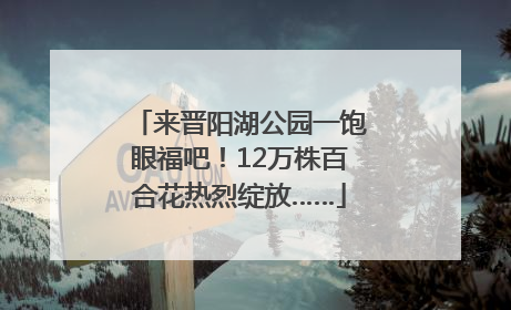 来晋阳湖公园一饱眼福吧！12万株百合花热烈绽放……