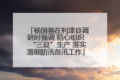 杨国强在利津县调研时强调 精心组织“三夏”生产 落实落细防汛备汛工作