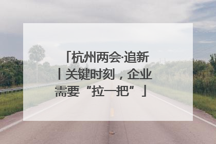 杭州两会·追新丨关键时刻，企业需要“拉一把”