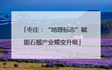枣庄：“地理标志”赋能石榴产业蝶变升级