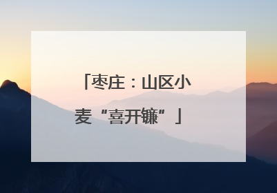 枣庄：山区小麦“喜开镰”